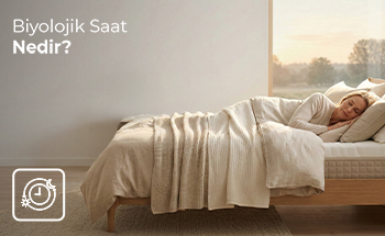 Biyolojik Saat Nedir?